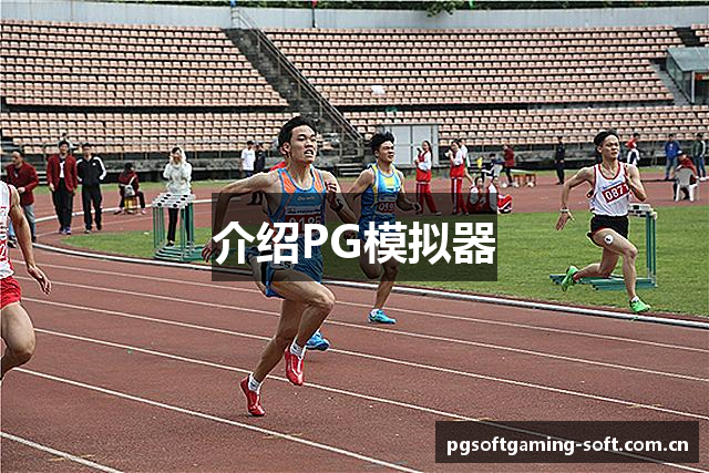 介绍PG模拟器